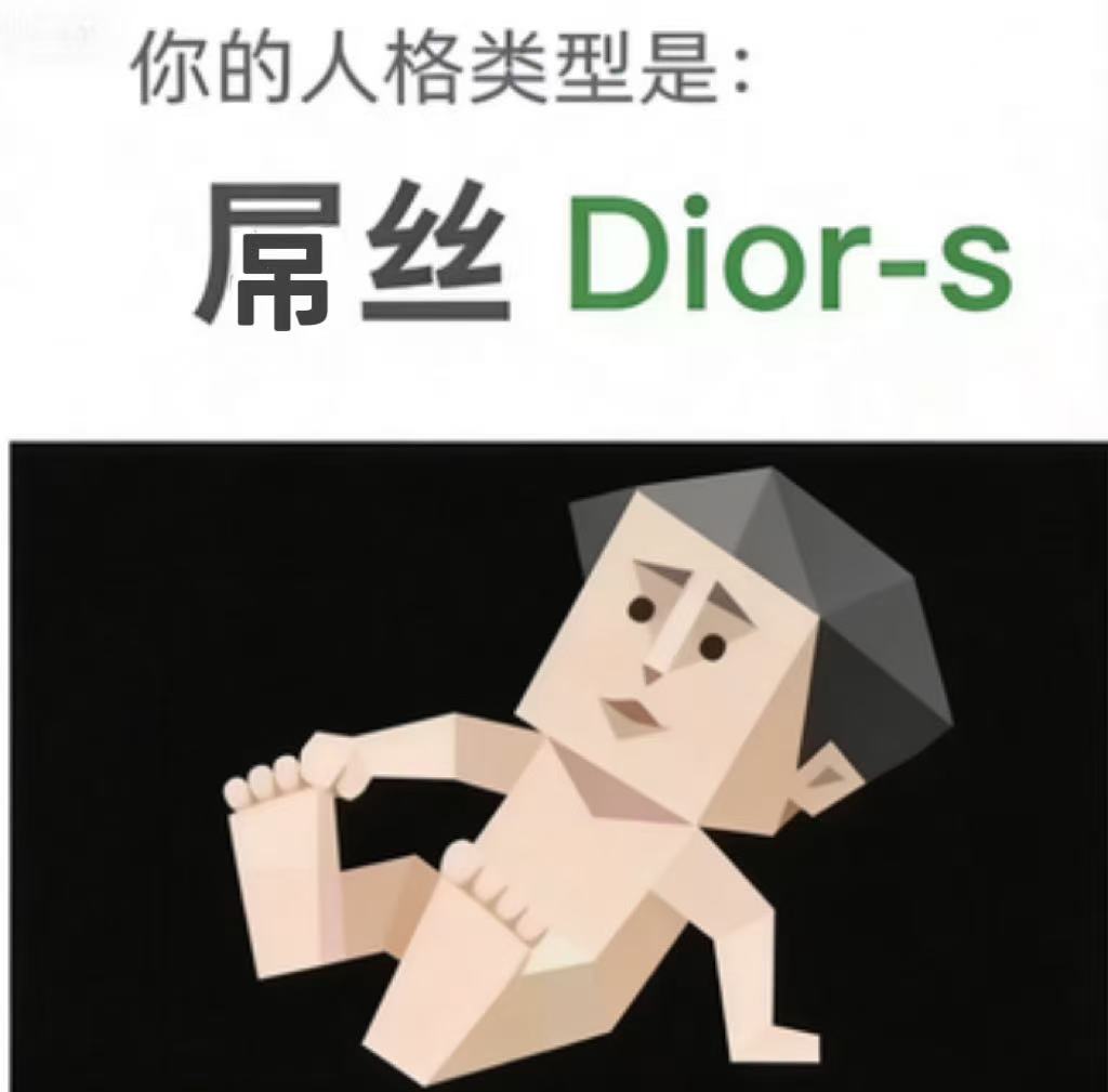 Dior-s 逆风者